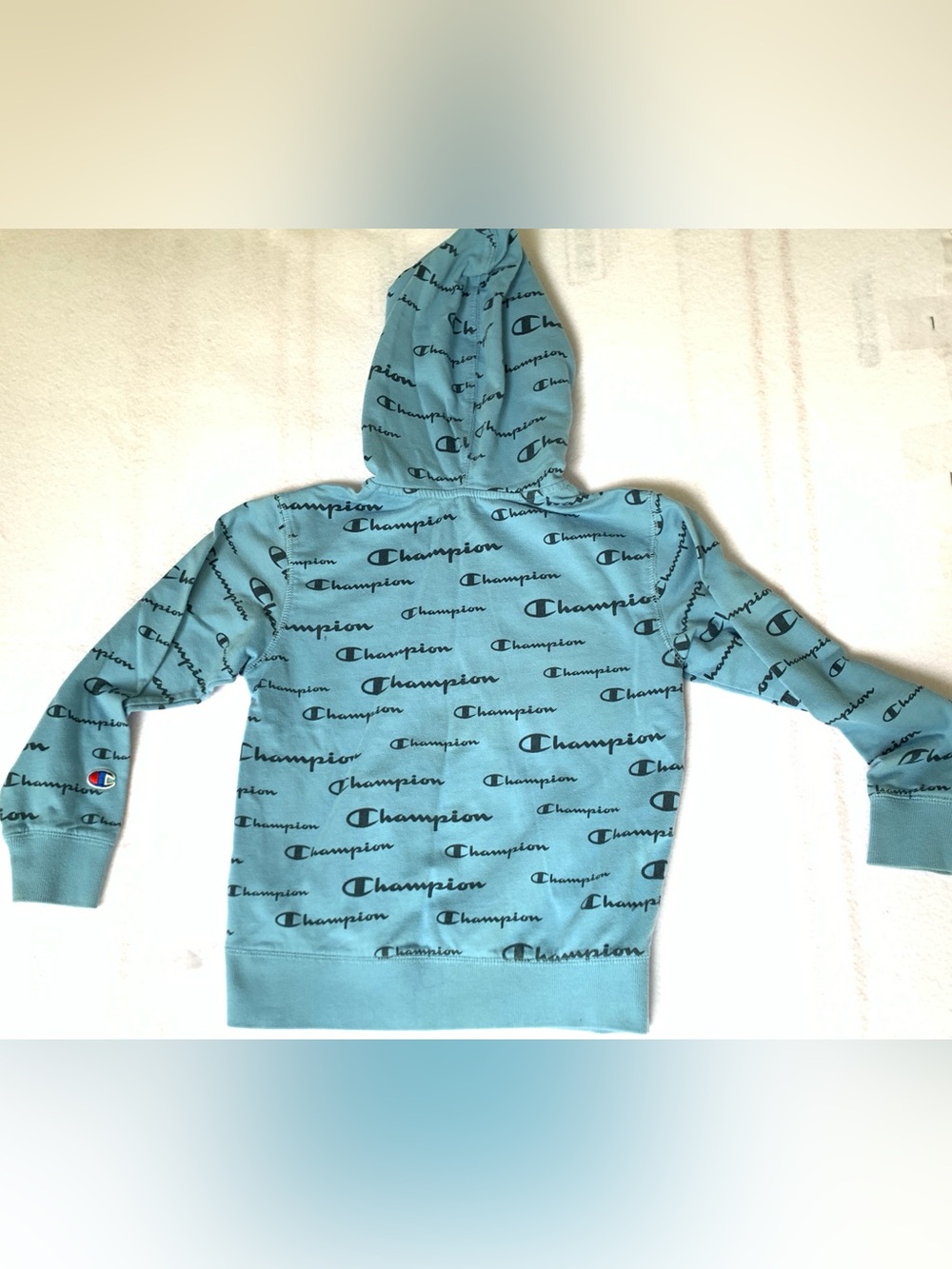 Champions Authentic Athletic Wear Teal Blue Hoodie kids Size Small Shadow Script